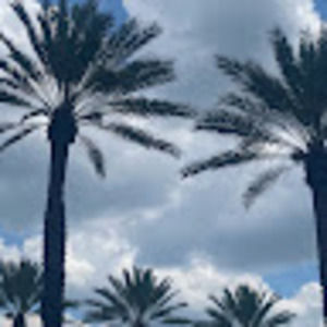 Meet your Posher, Penny